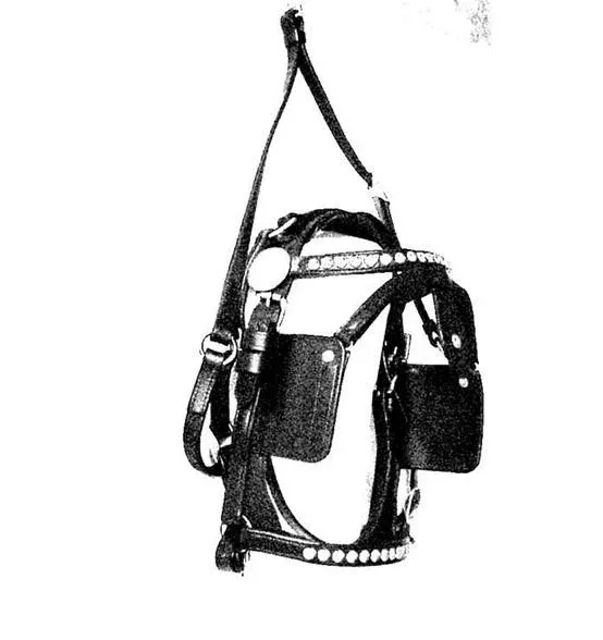 Leather Driving Bridle Spotted Horse