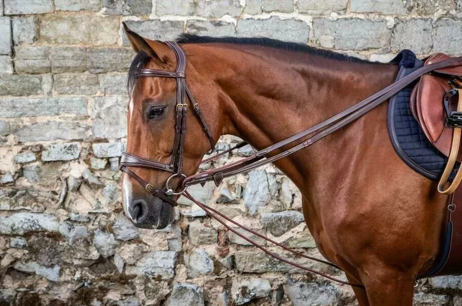 Leather/Nylon Draw Reins