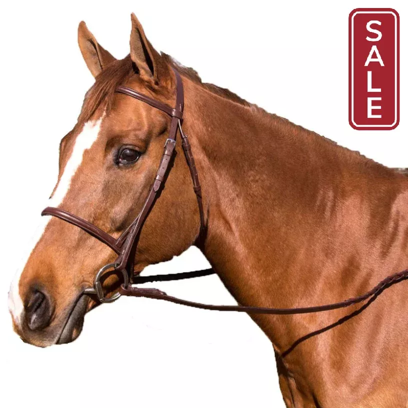 Legacy Plain Raised Bridle