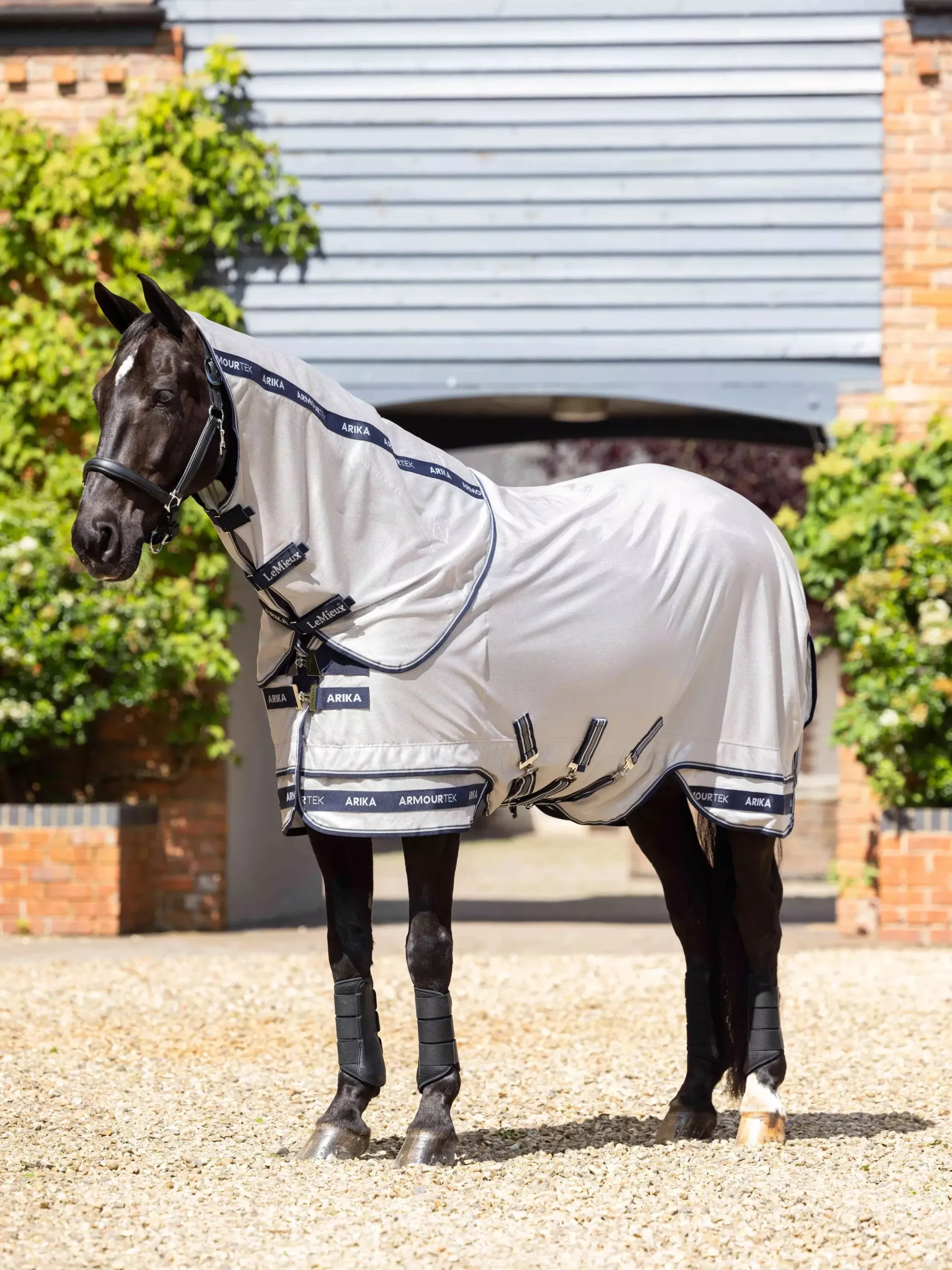 LeMieux Arika Armour-Tek Fly Blanket