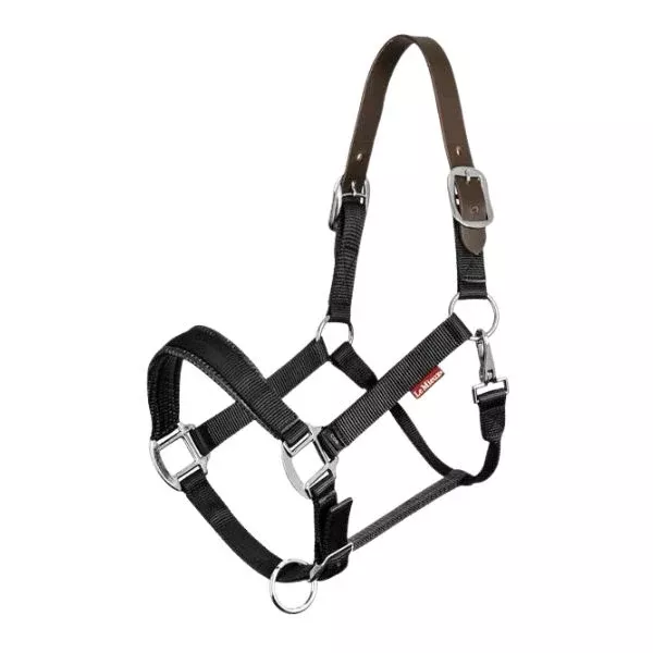LeMieux Breakaway Headcollar