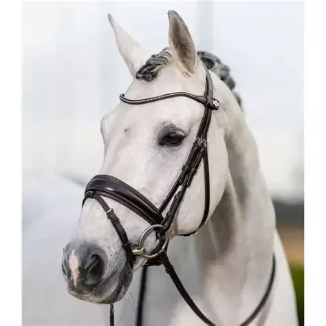 Lemieux Classic Dressage Bridle