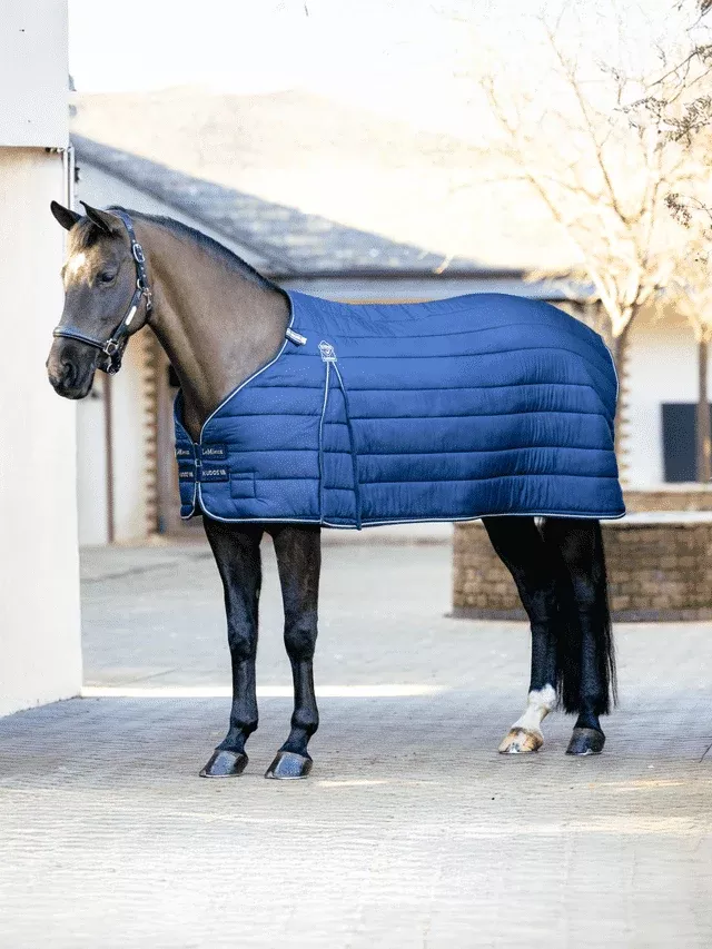 LeMieux Kudos Rug Liner 50g