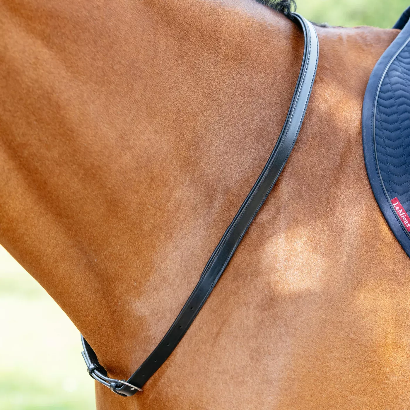 LeMieux Neck Strap