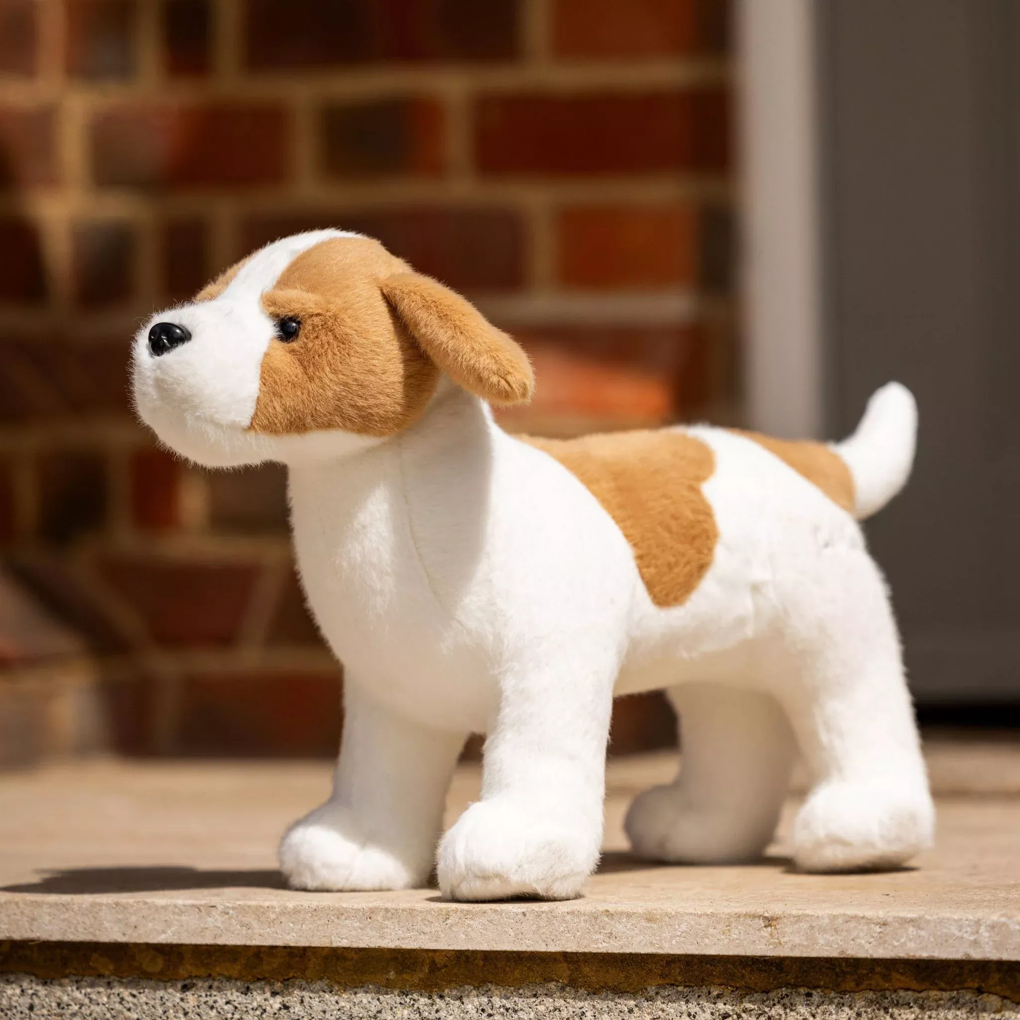 LeMieux Toy Dog Jack Russell