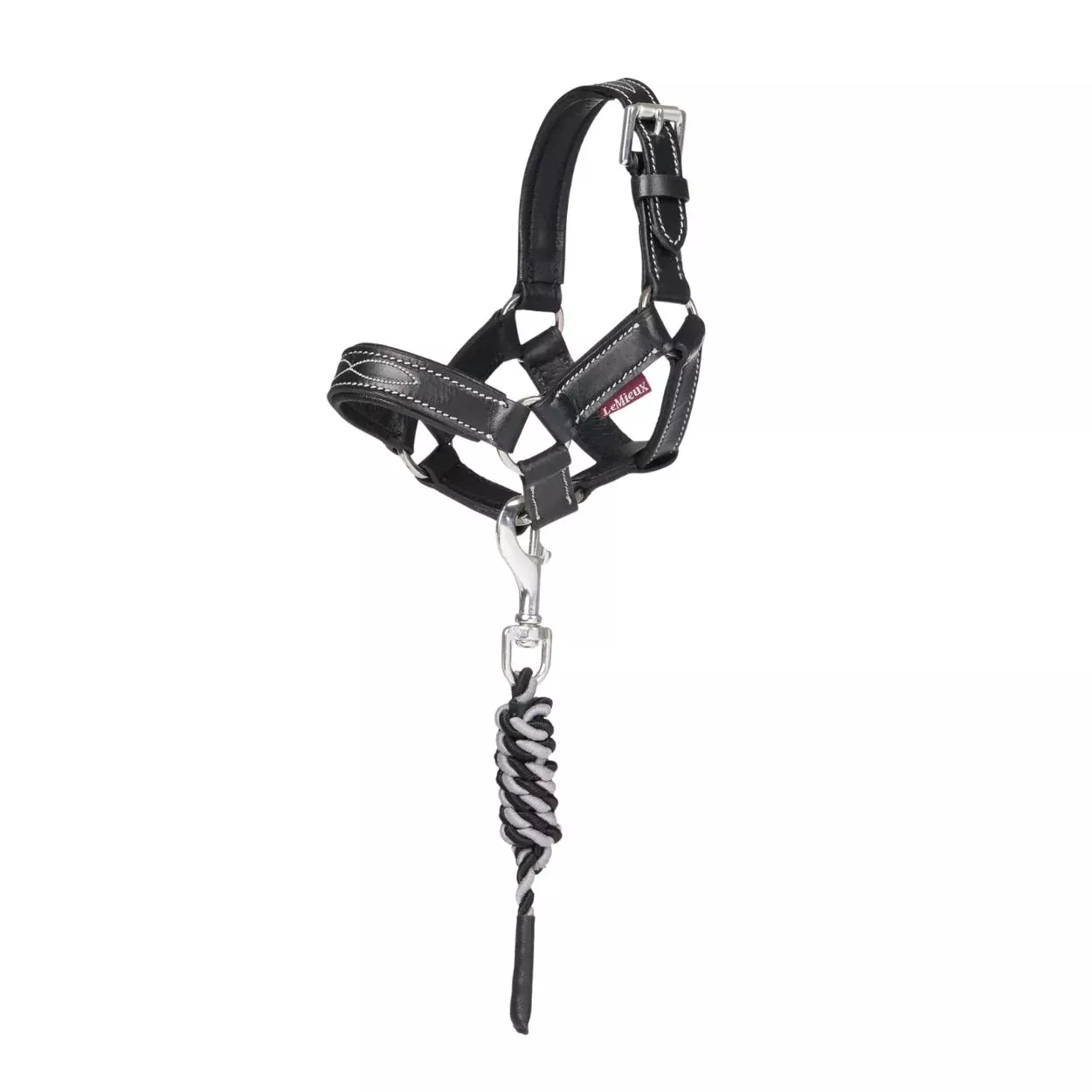Lemieux Toy Pony Leather Headcollar & Leadrope