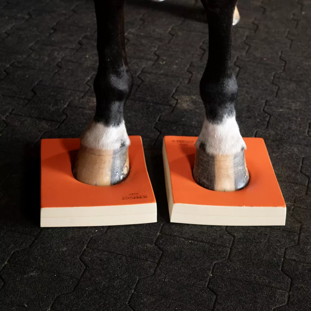 Level 2 - Hard Pads