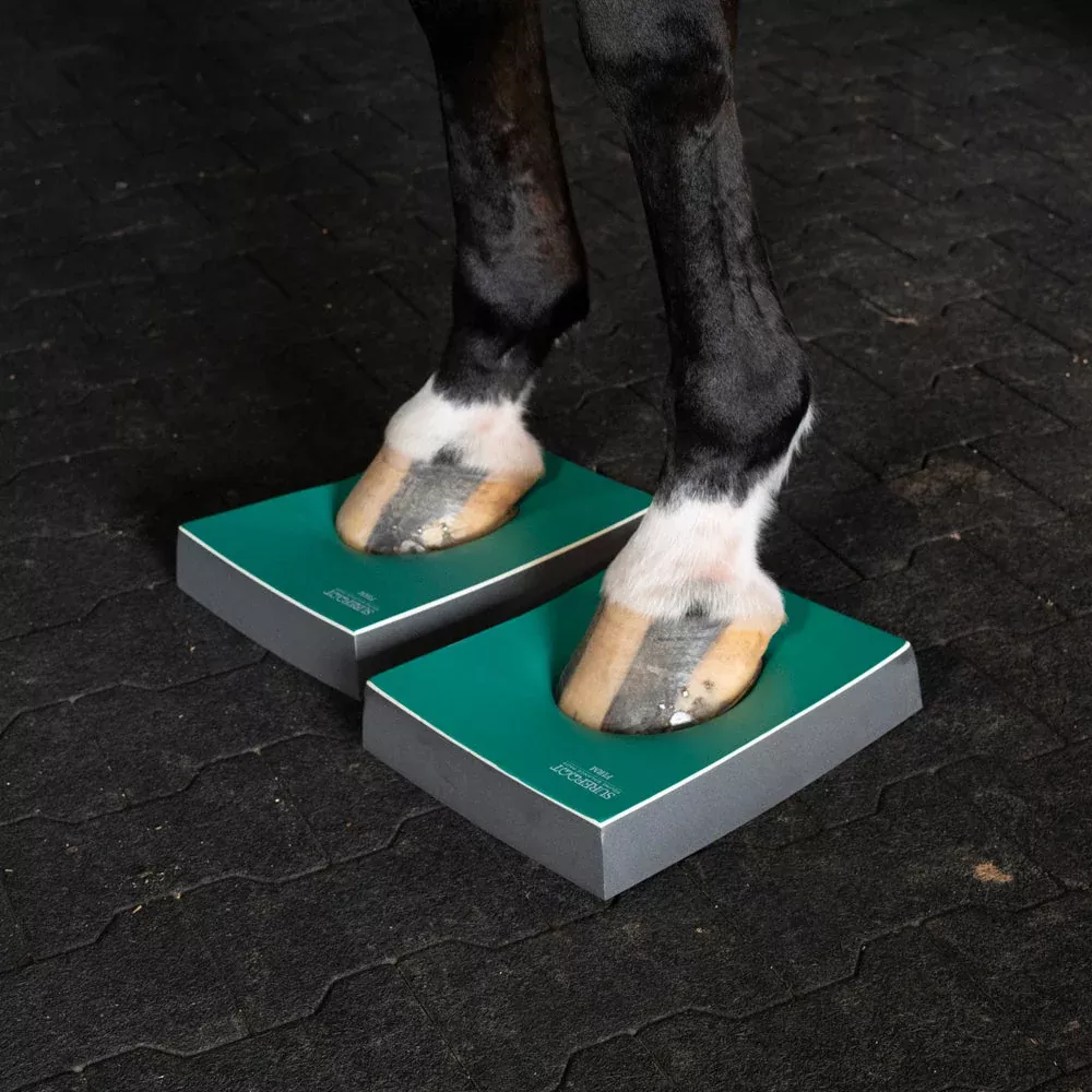 Level 3 - Firm Pads