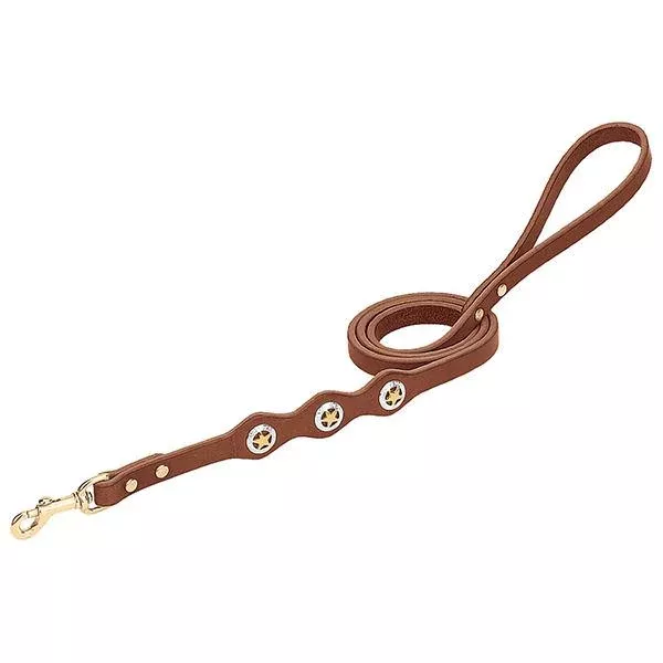 Lone Star Legend Leash