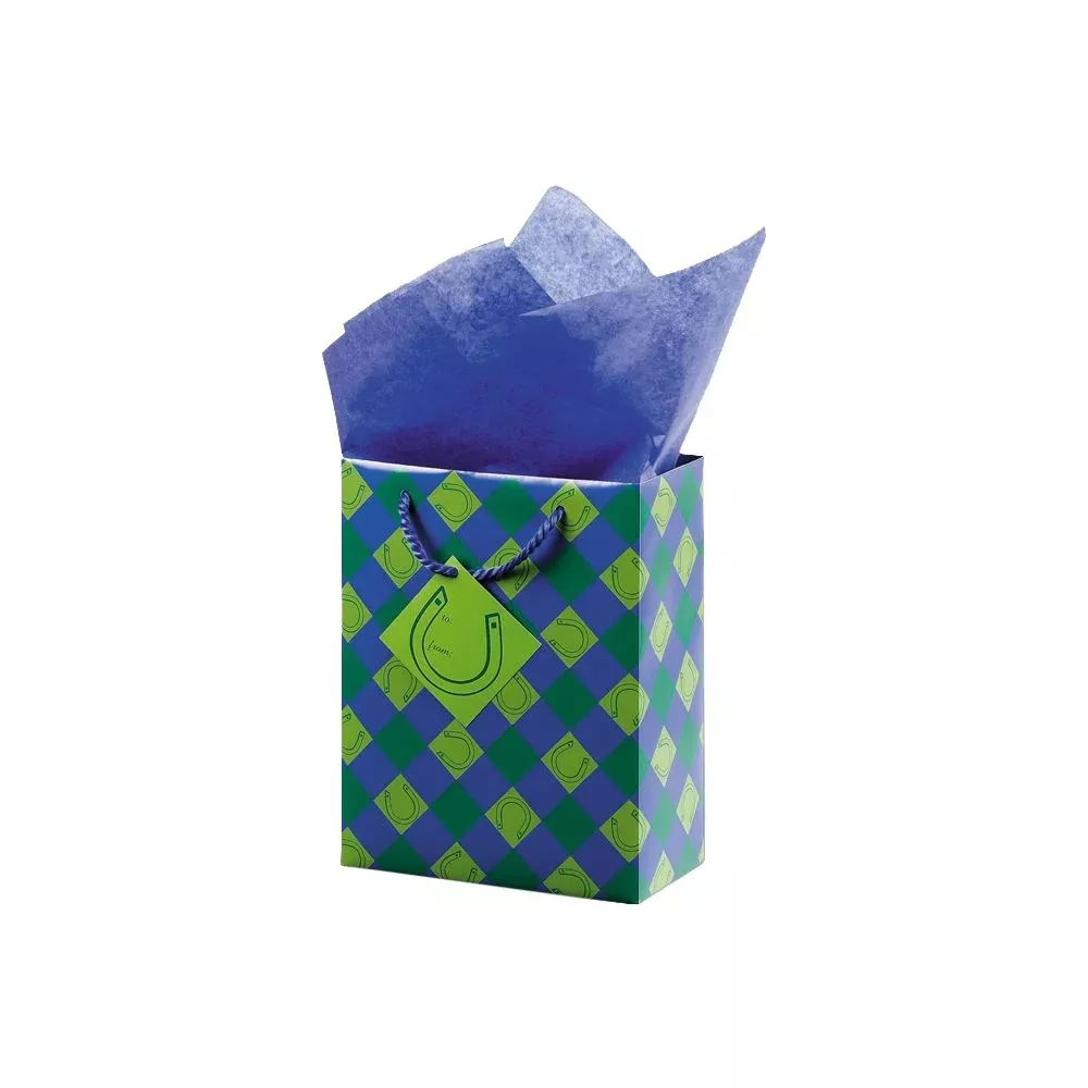 Lucky You Small Gift Bag
