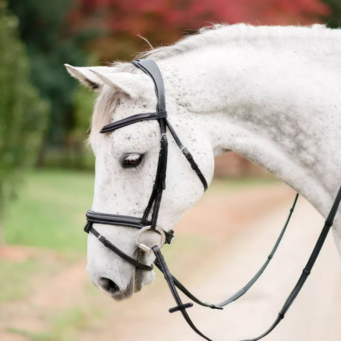 Lumiere Amour Bridle with Convertible Flash Cob