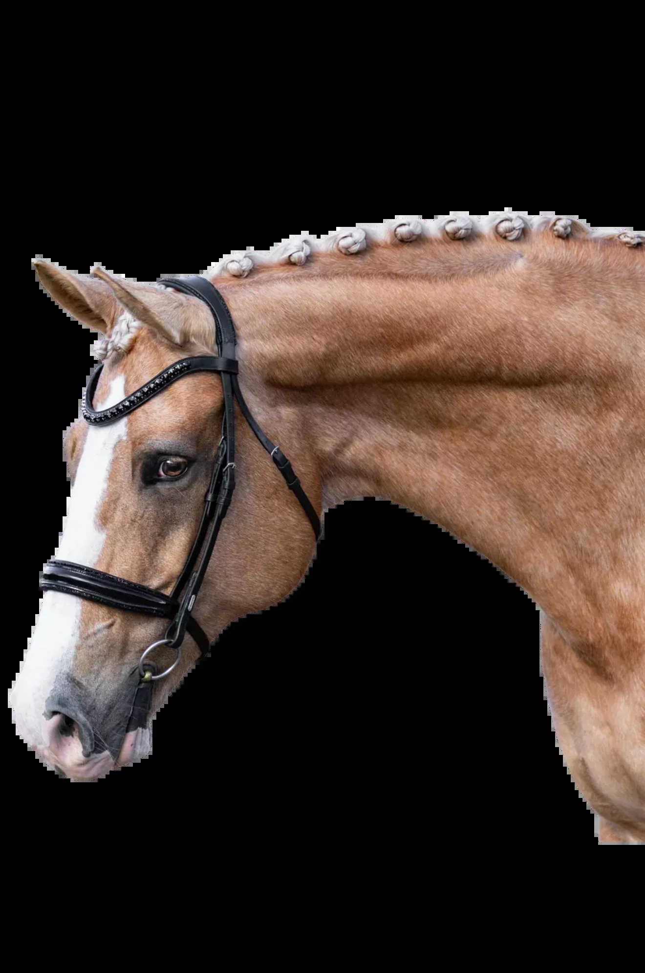 Lumiere 'Arcadia' Luxury Leather Bridle (Cavesson)