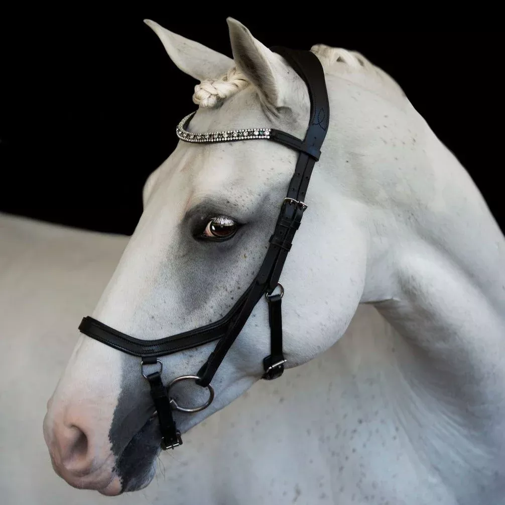 Lumiere Azure Bridle (Euro Version)-Pony