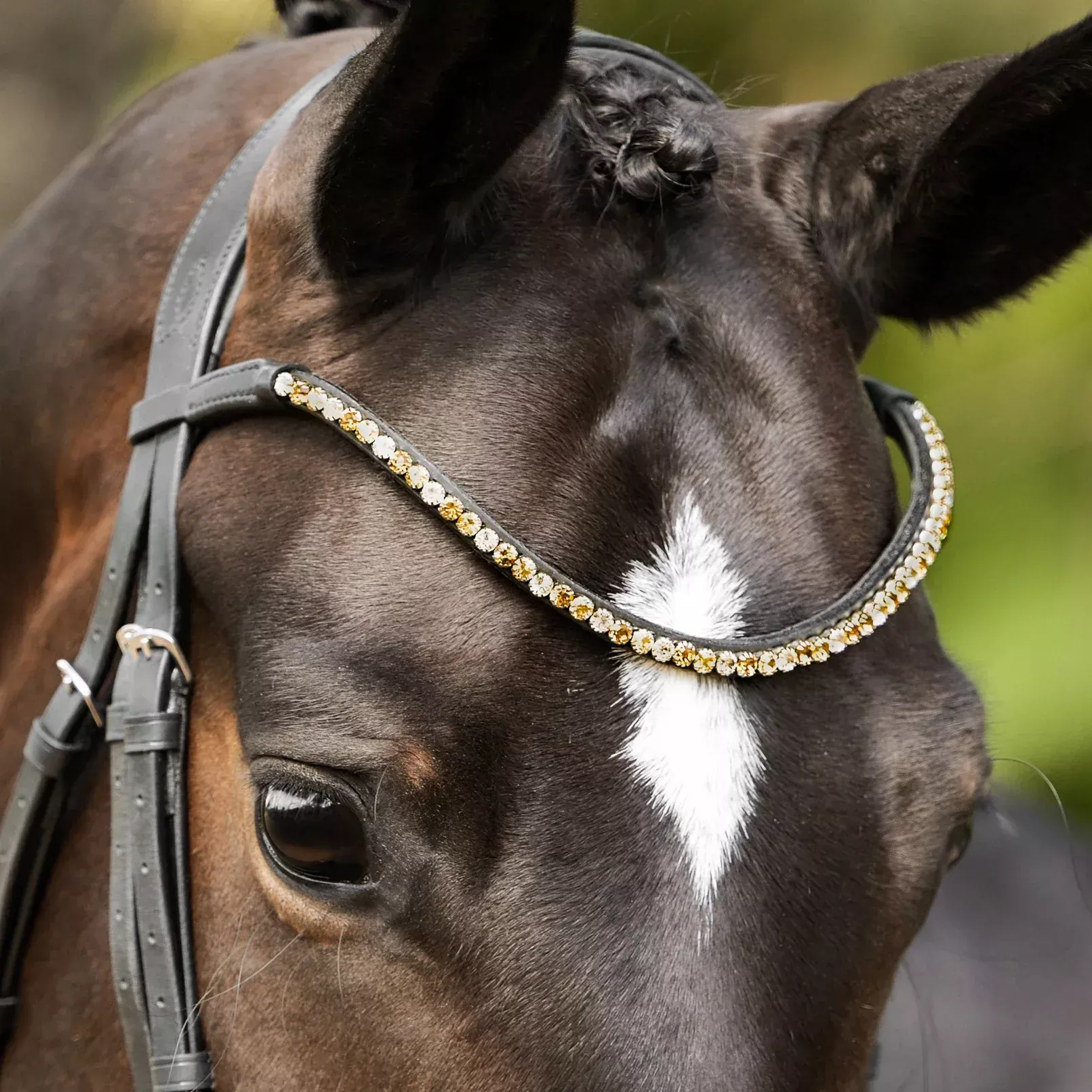 Lumiere Megan Browband-Cob
