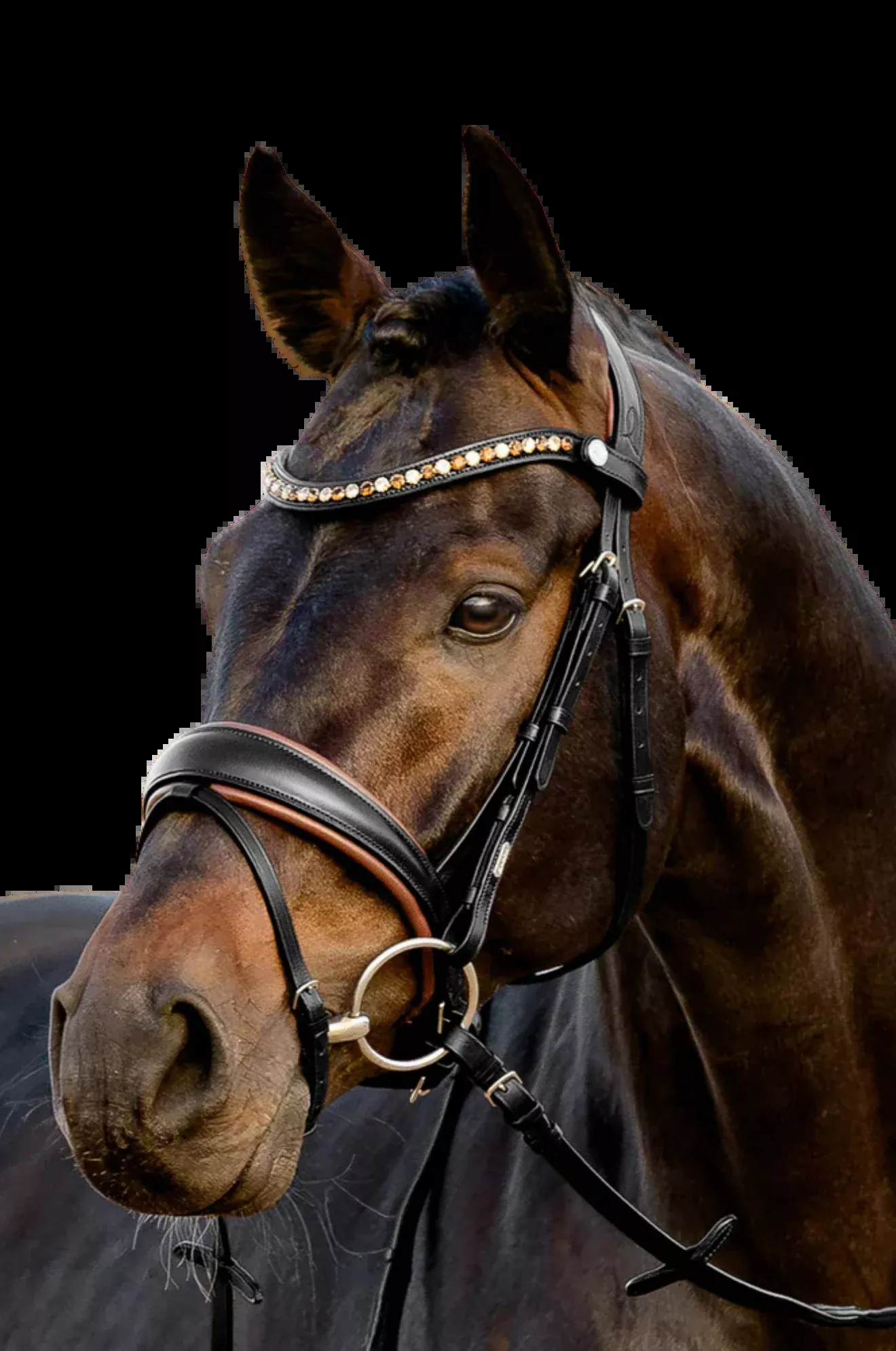 Lumiere Pippa Bridle