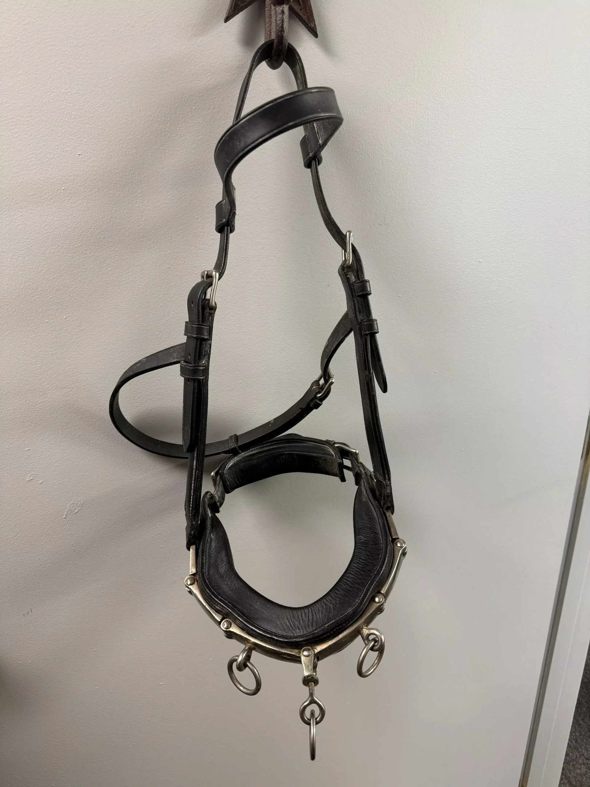 Lunging Cavason Black Leather
