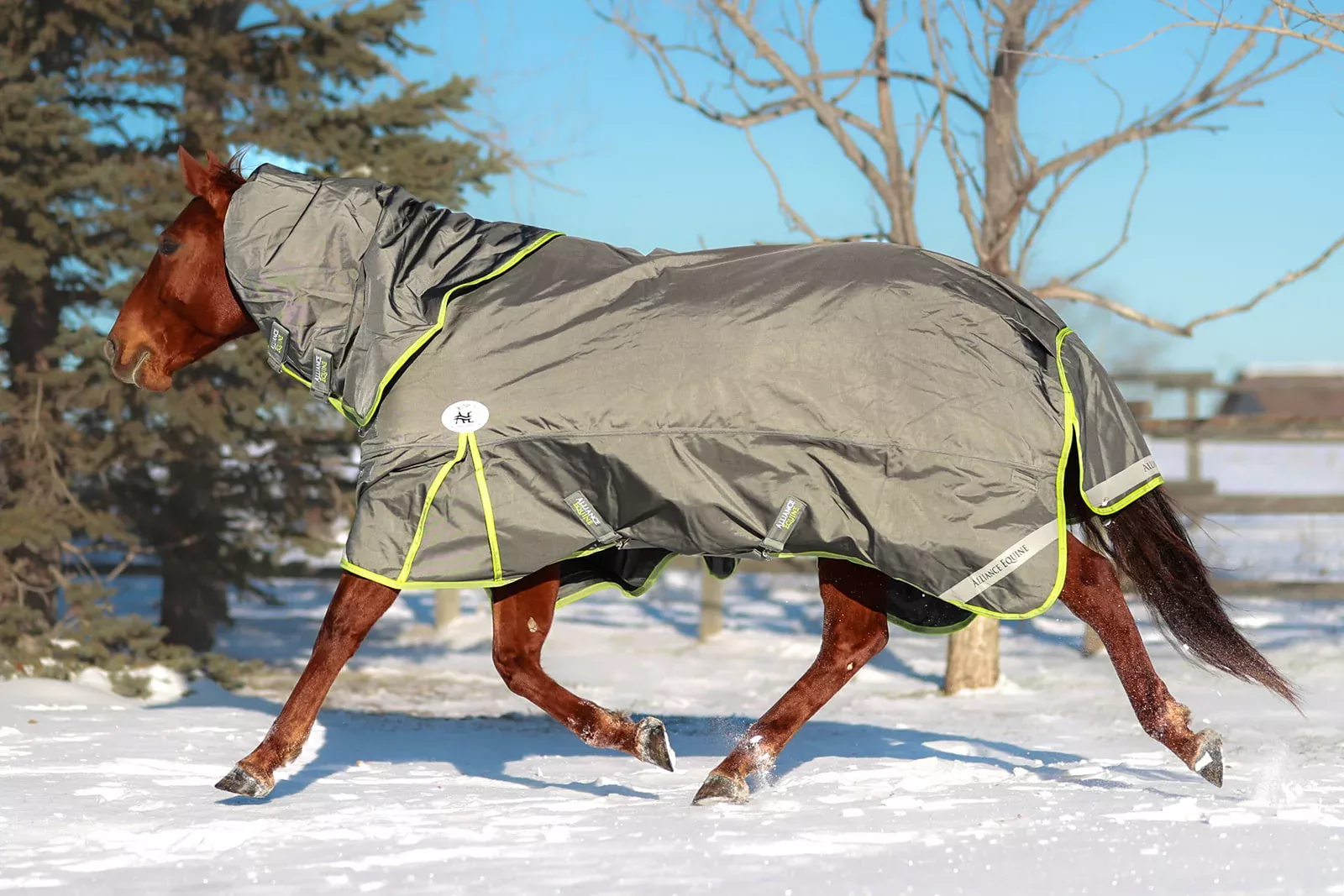 LUX Winter Blanket | 300g