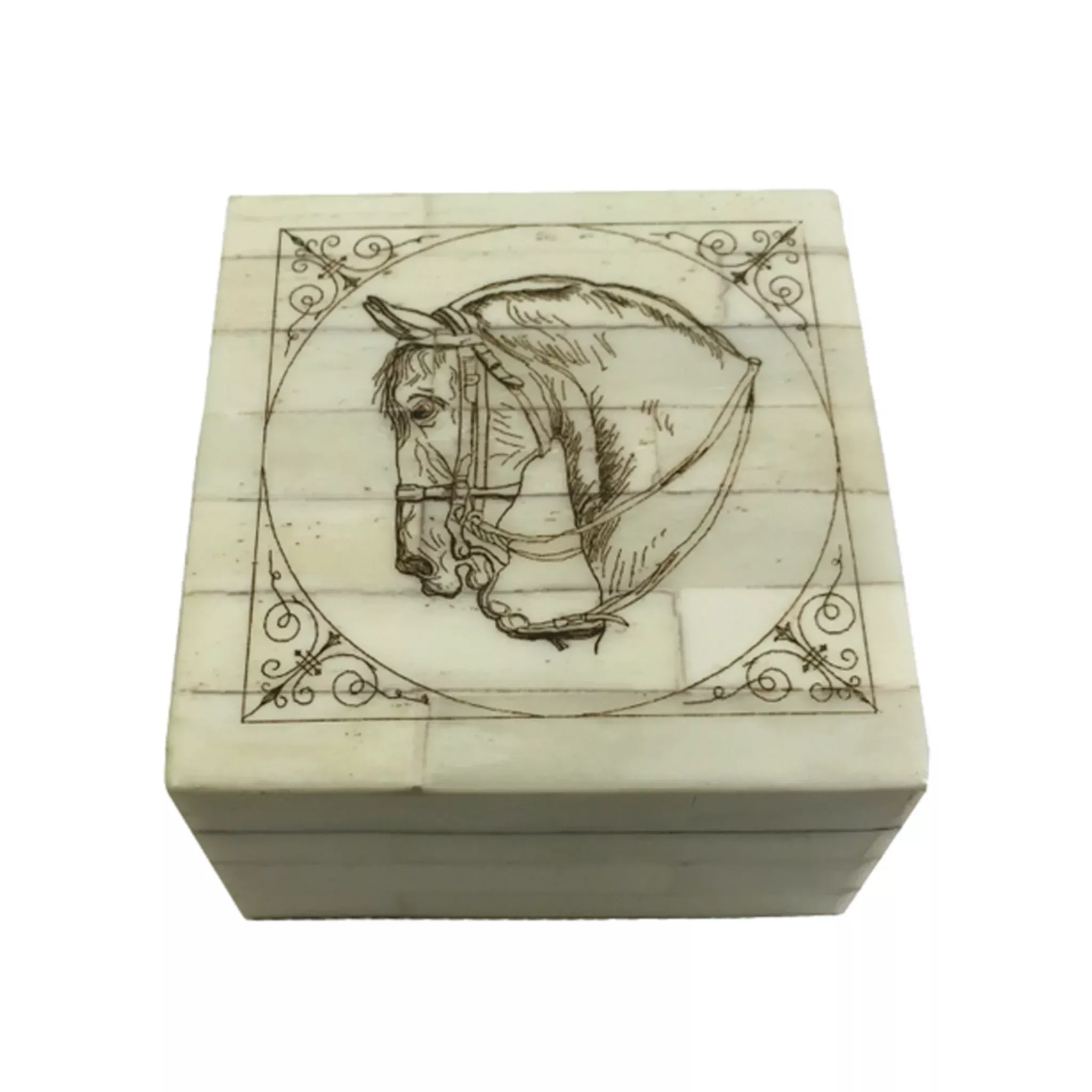 Madison Bay Horse Head Scrimshaw Bone Box