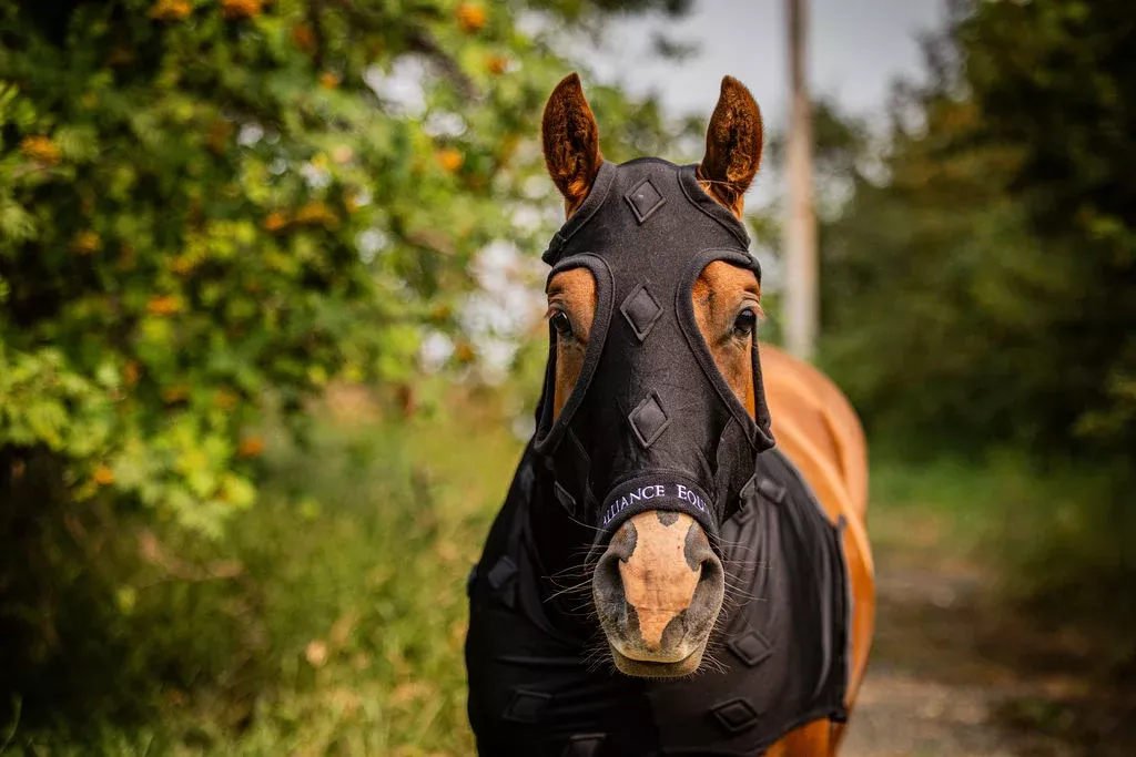 MagniFlex Magnetic Horse Slinky