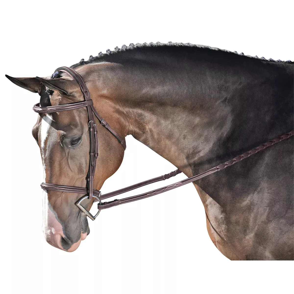 Marcel Toulouse Annice Hunter Bridle