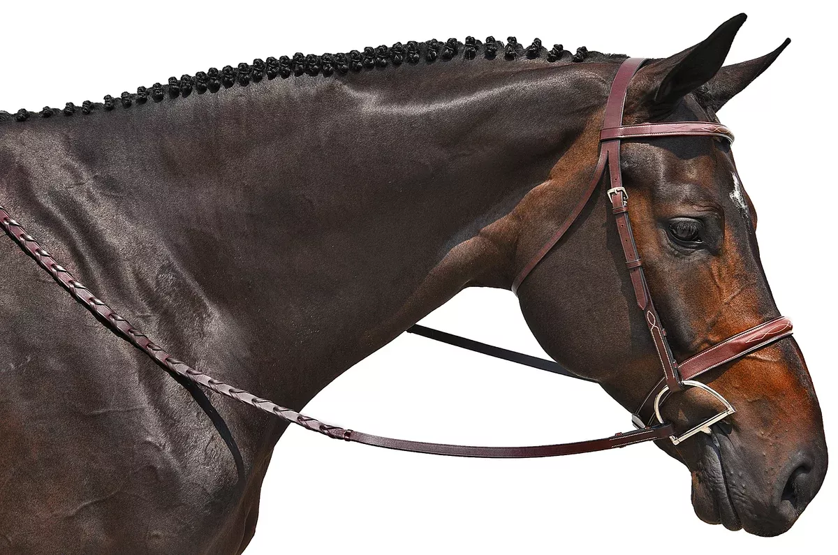 Marcel Toulouse Handy Hunter Snaffle Bridle