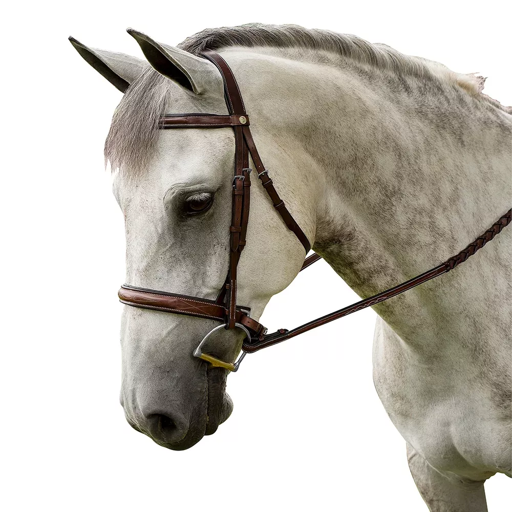 Marcel Toulouse Liza Hunter Derby Bridle