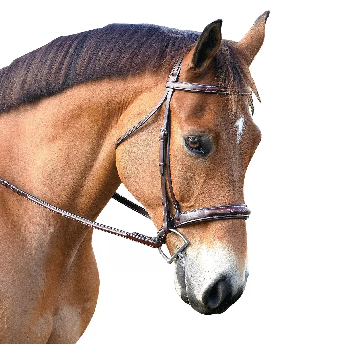 Marcel Toulouse Platinum Devon Snaffle Hunter Bridle