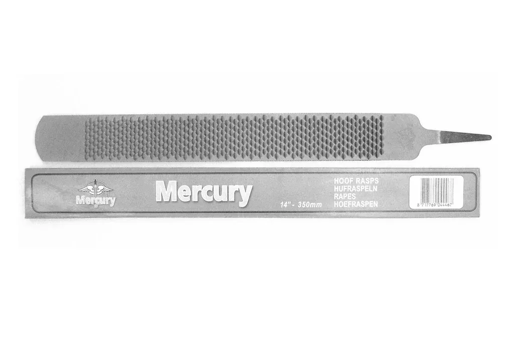 Mercury Rasp