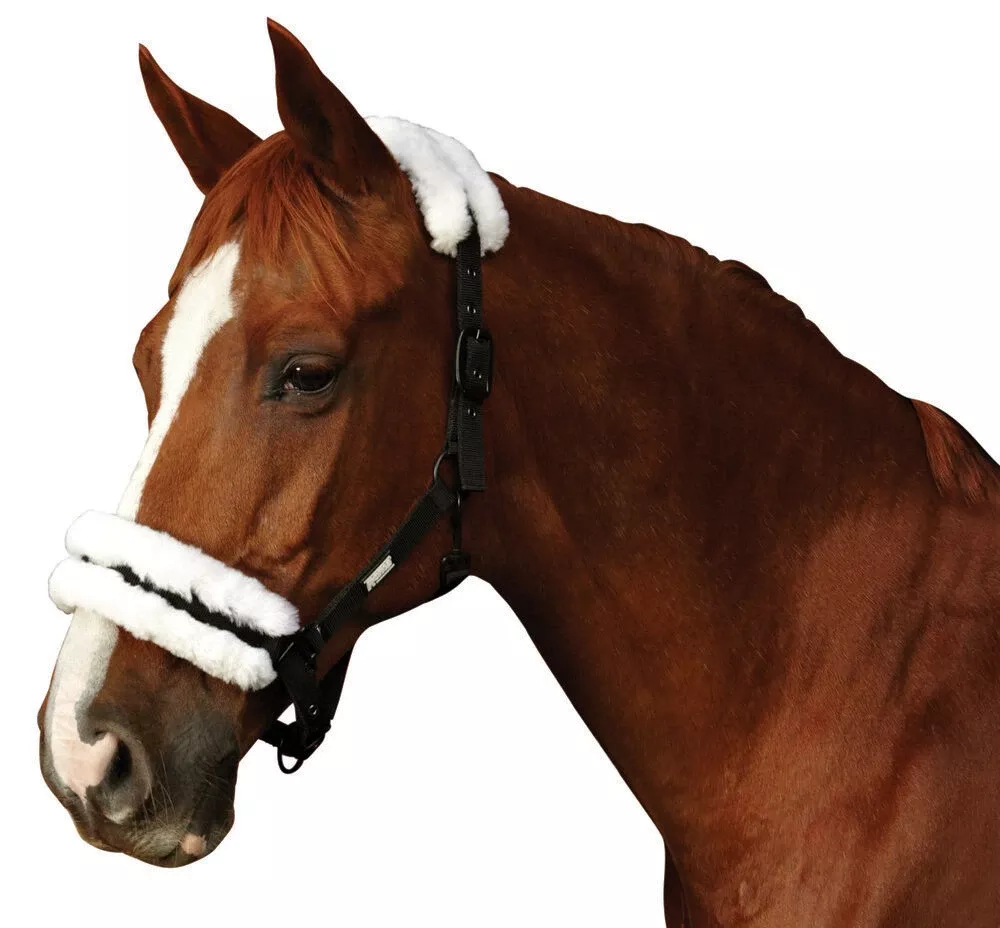 Merino Sheepskin Headcollar