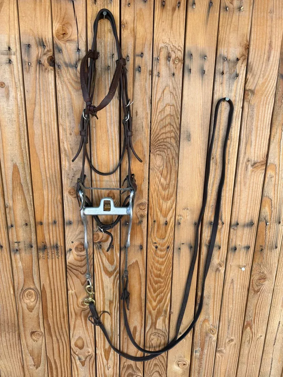 Mikmar Training Bit Futurity Headstall ReinsB1317