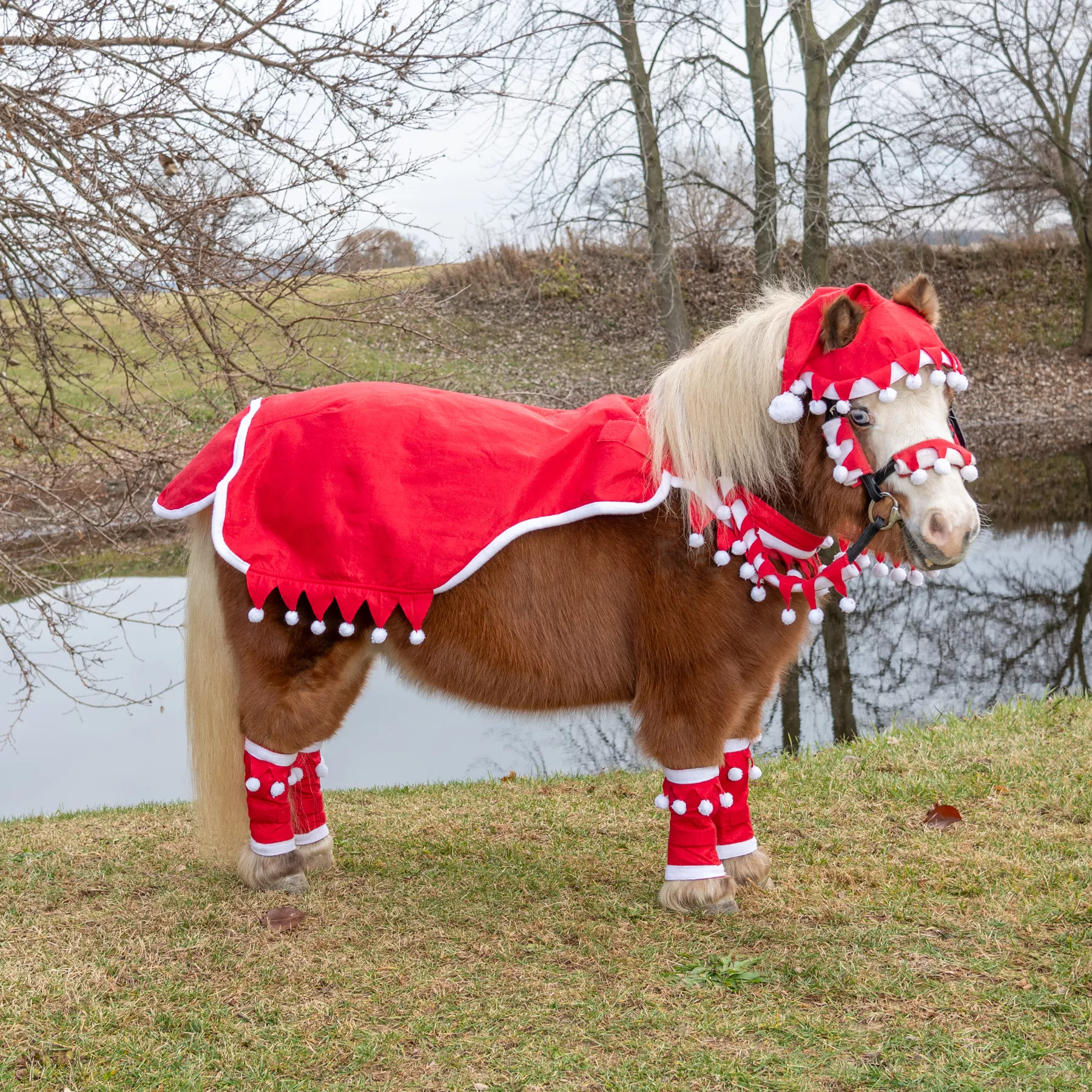 MINI 5 PC SANTA WESTERN SET