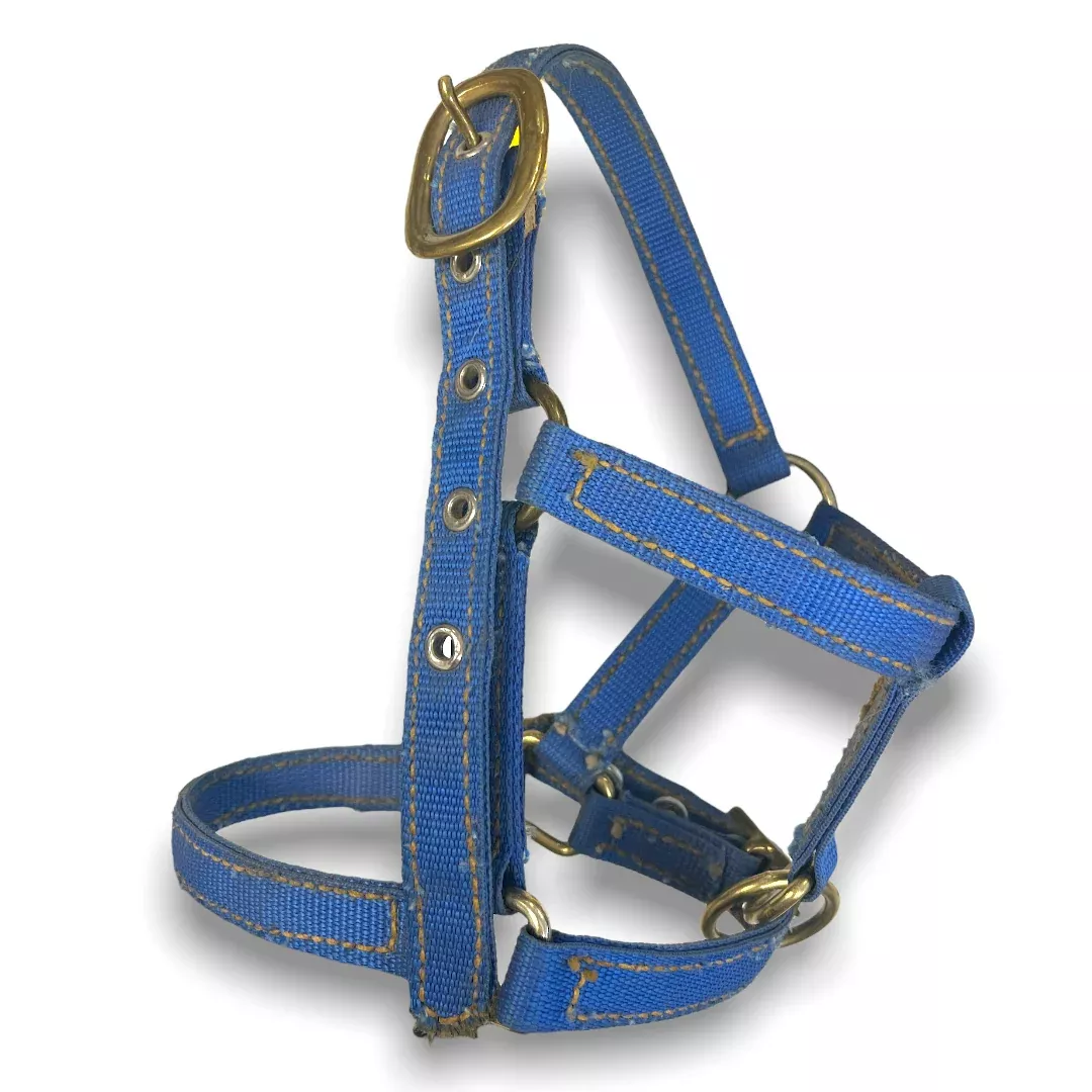 Mini/Foal Halter