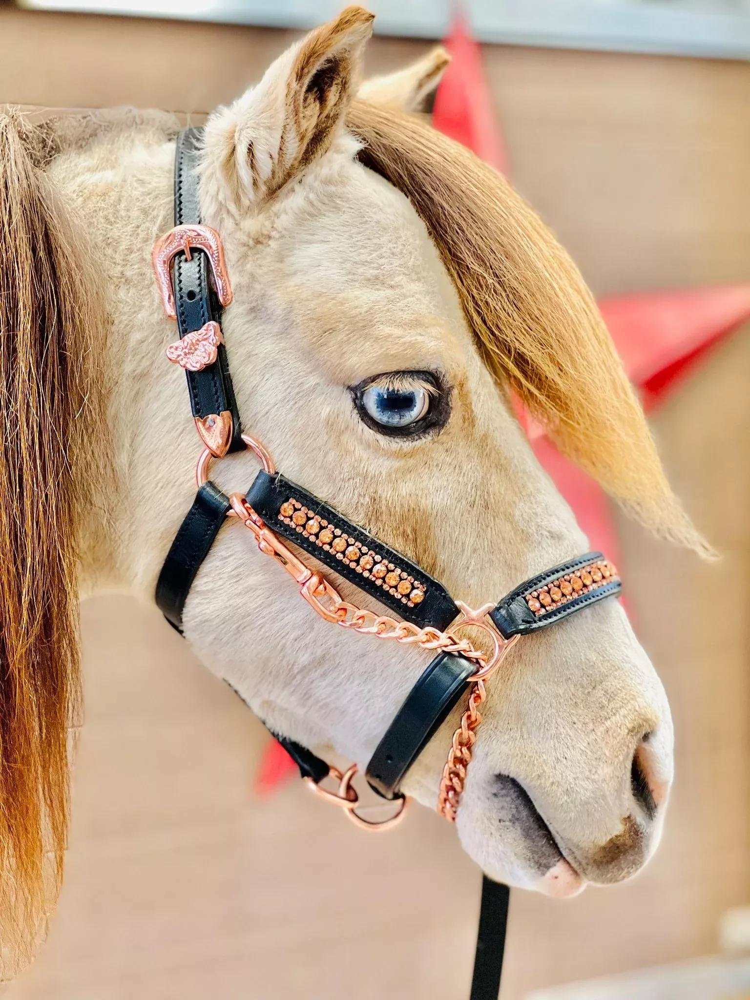 Miniature Horse Rhinestone Leather Show Halter & Lead Set