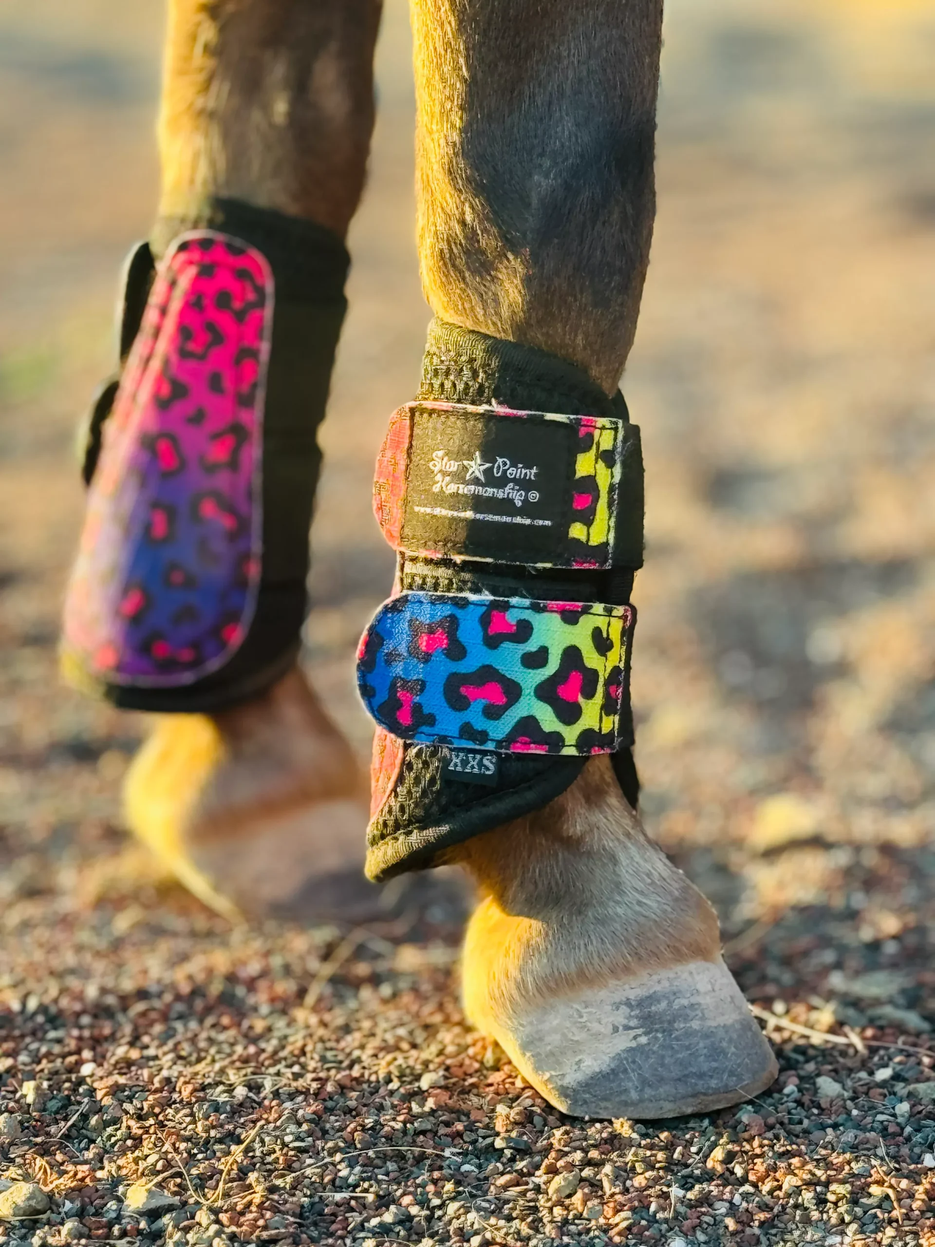 Miniature Horse Sport Boots (Set of 2)