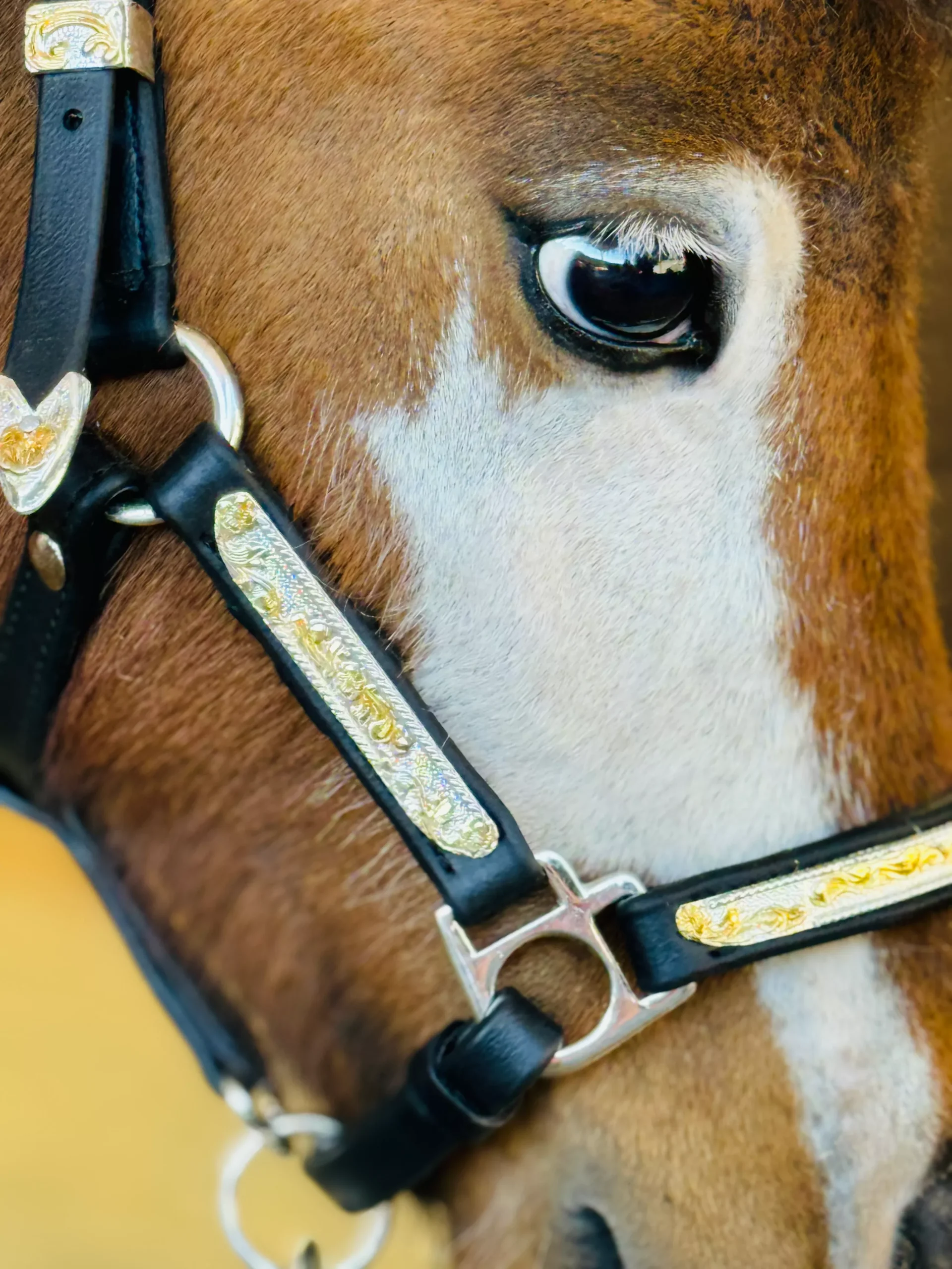 Miniature Horse Sterling Silver Show Halter & Lead Set