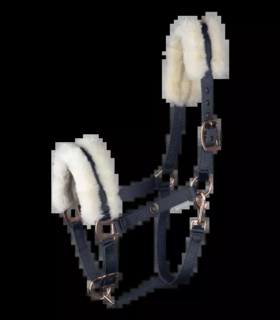 Modern Rose Halter