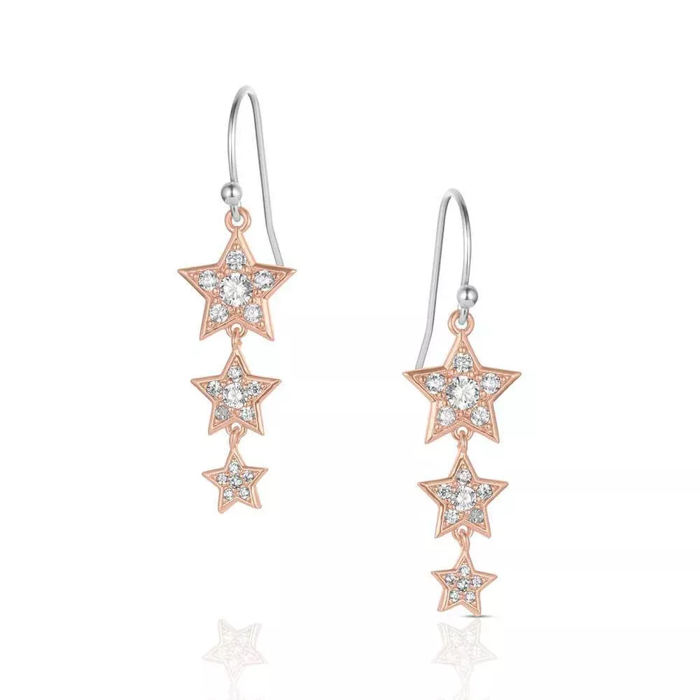 Montana Silversmiths Trio of Wishes ER6311