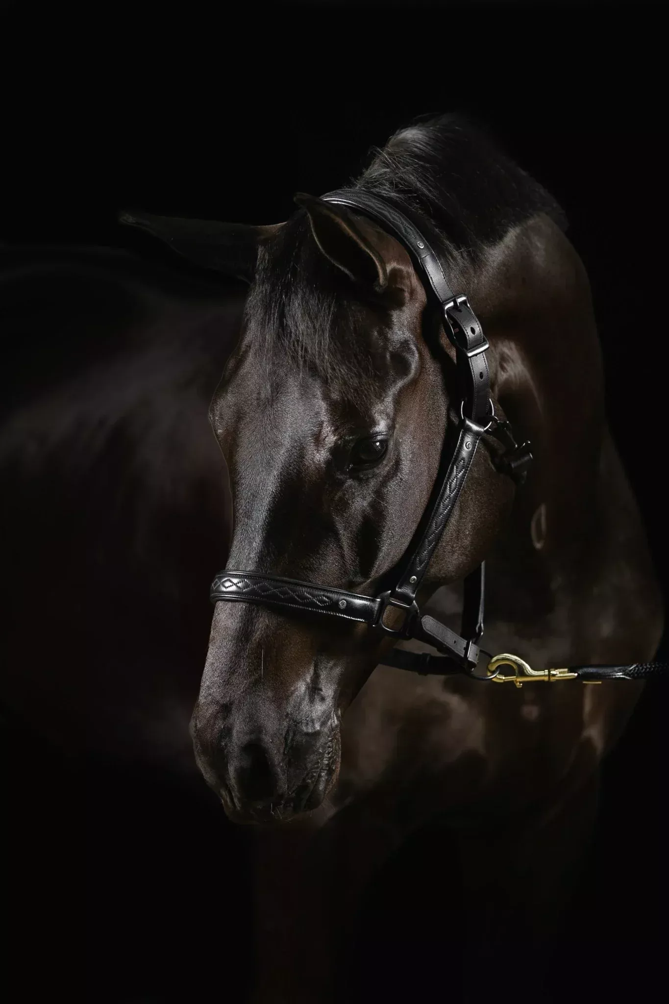 Mrs. Ros Diamond Deluxe Leather Halter