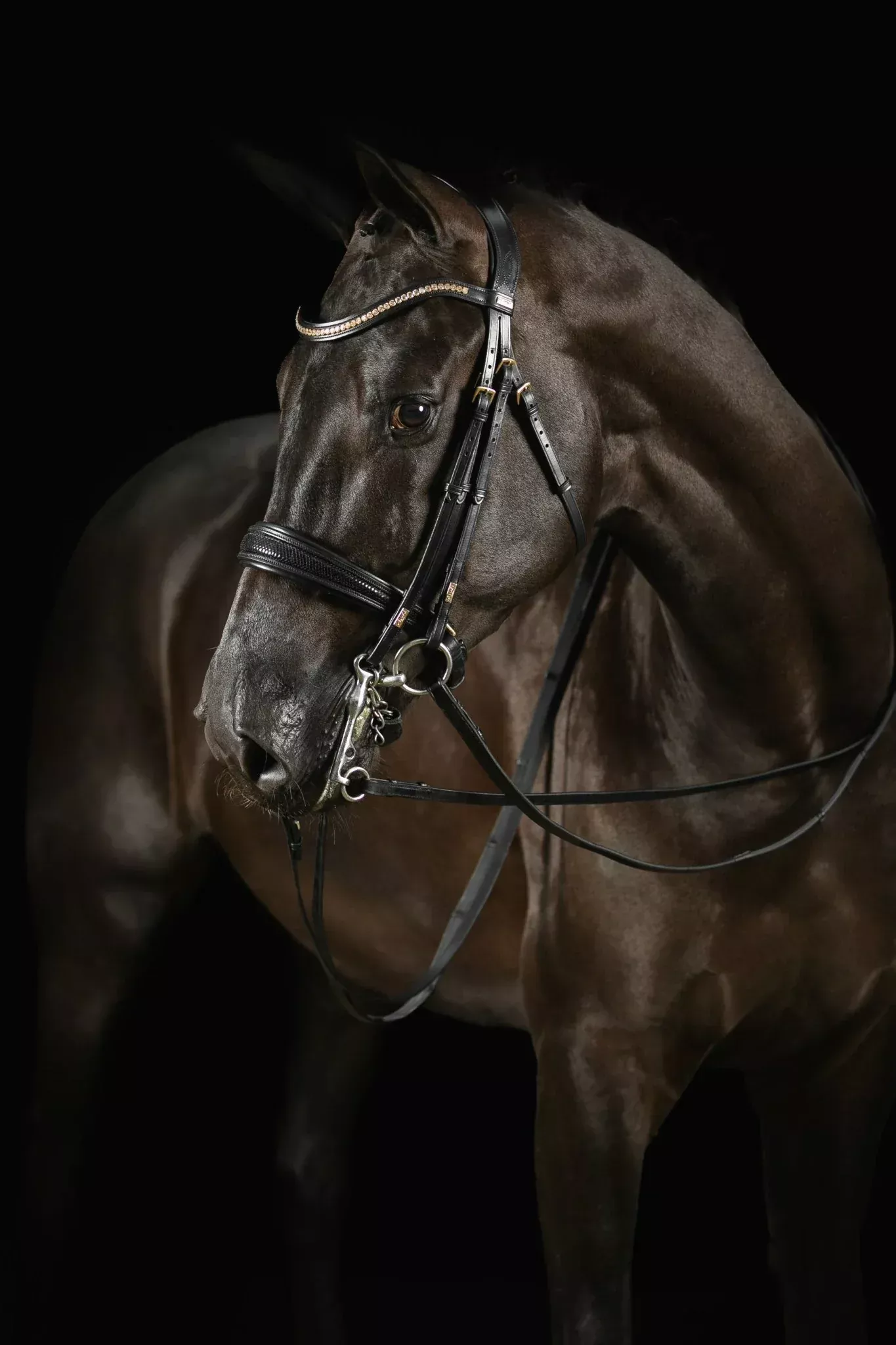Mrs. Ros Knight Power Deluxe Double Bridle-Full