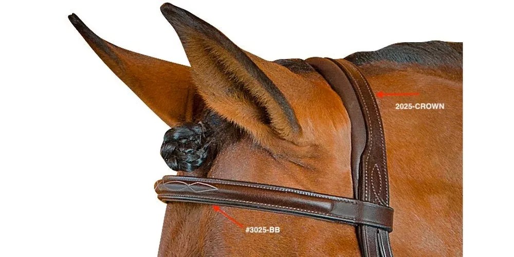 MTL FANCY STITCHED RAISED BROWBAND, COB