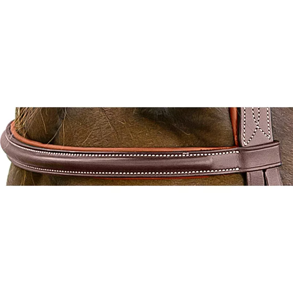 MTL PLAIN RAISED BROWBAND COB, CHOCOLATE W/COGNAC PADDING