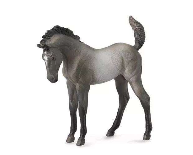 Mustang Foal | Grulla