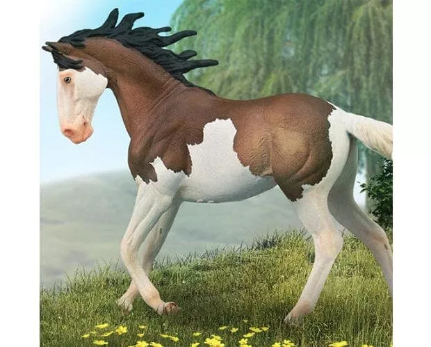 Mustang Mare | Bay Splash Overo