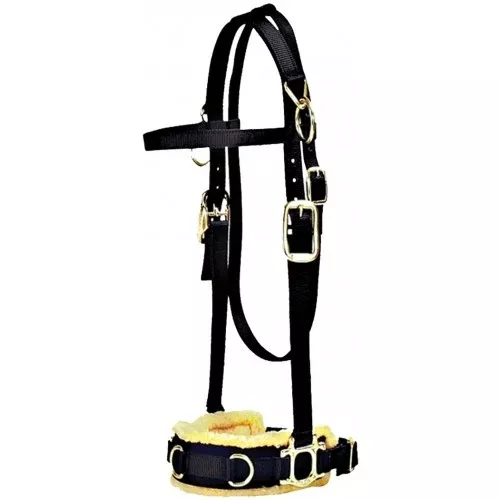 MUSTANG NYLON LUNGE CAVESON