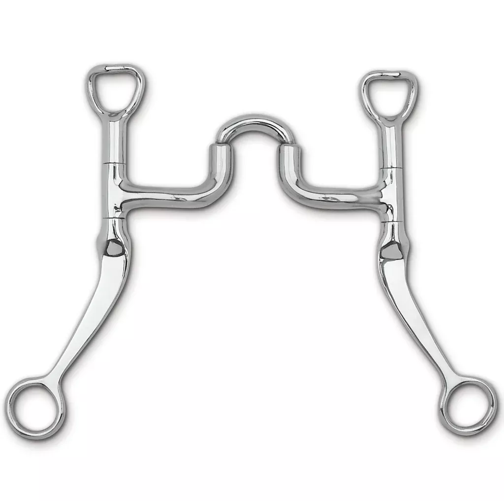 Myler Flat Shank with Traditional Correctional MB 47 Bit