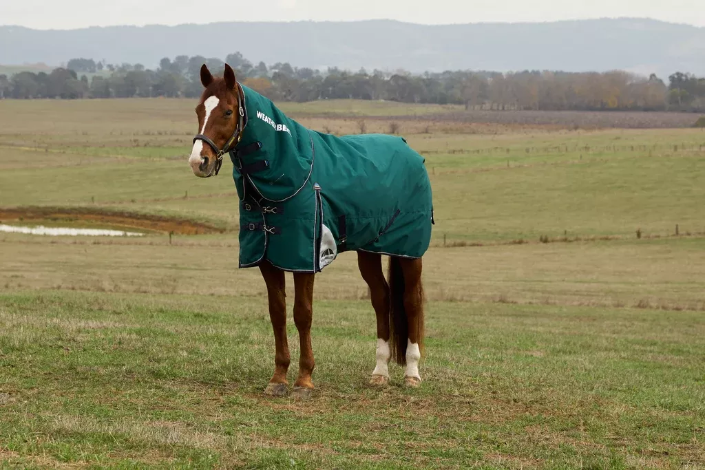 NEW WeatherBeeta ComFiTec 360G Plus Dynamic Turnout Detach-A-Neck