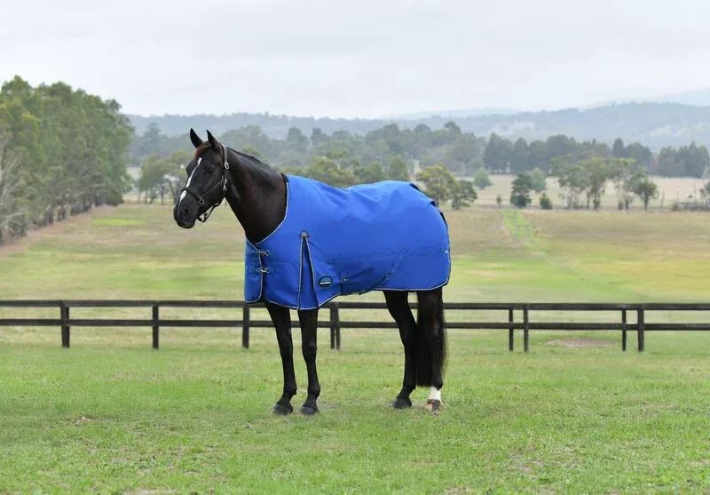 NEW WeatherBeeta ComFiTec Essential 220G Standard Neck