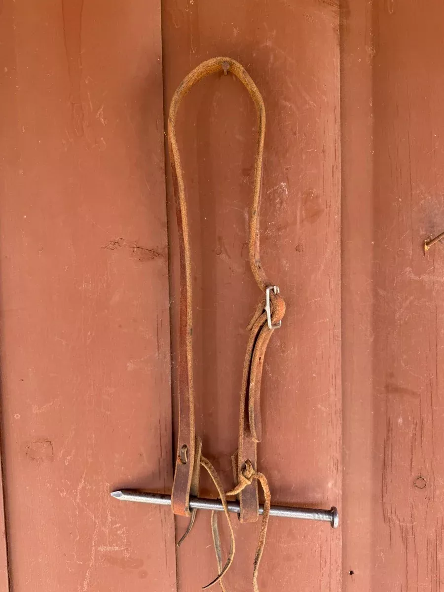 No Ear Leather Pony Headstall HS1209