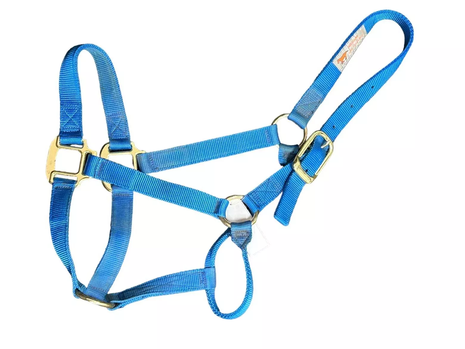 Nylon Halter - Blue - M - USED