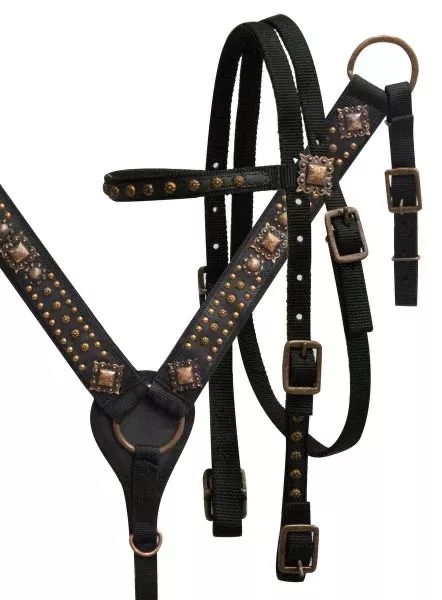 NYLON HEADSTALL AND BREAST COLLAR SET WITH ANTIQUE BRONZE ENGRAVED CONCHOS